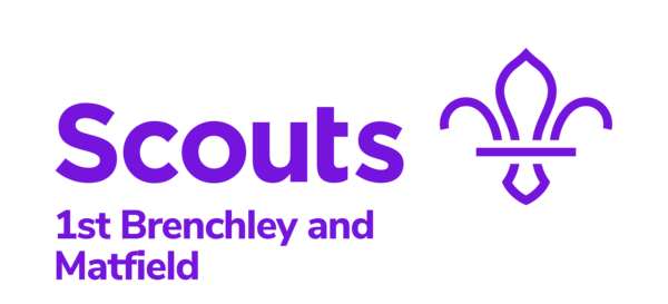 logo_generator_linear_purple_png